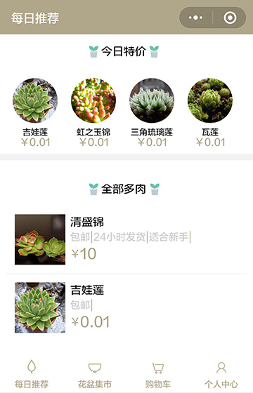 多肉小店案例图片1