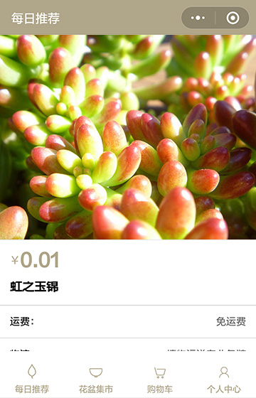 多肉小店案例图片3